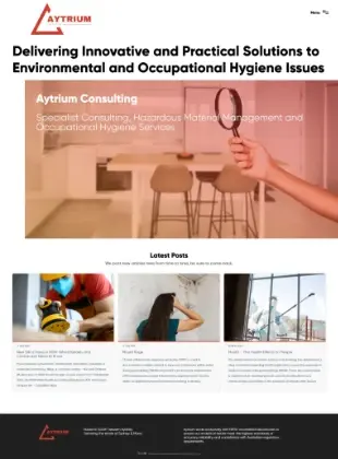 Business Website Designer